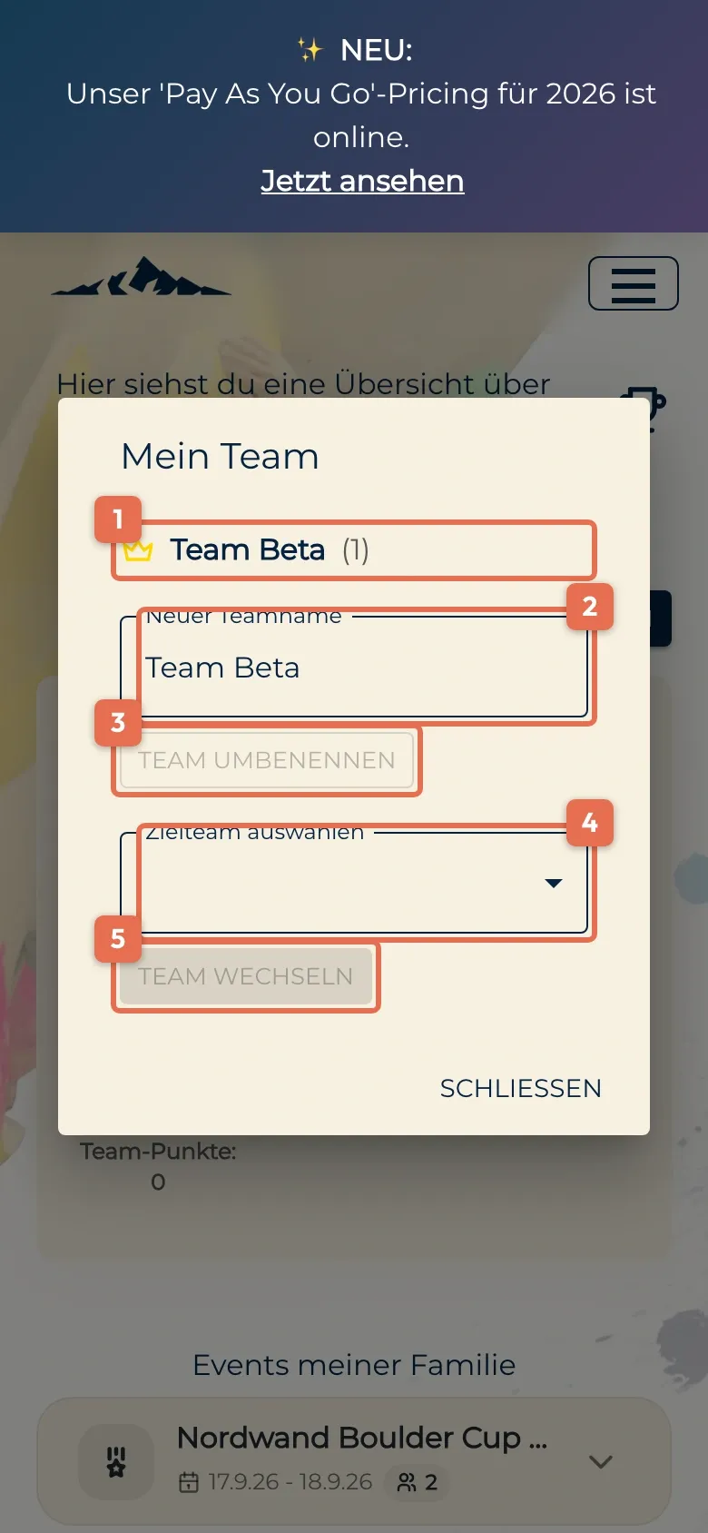 Fenster „Mein Team“